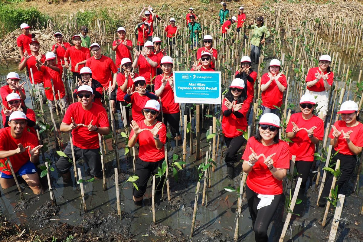 Yayasan WINGS Peduli tanam ratusan pohon mangrove di kawasan PIK