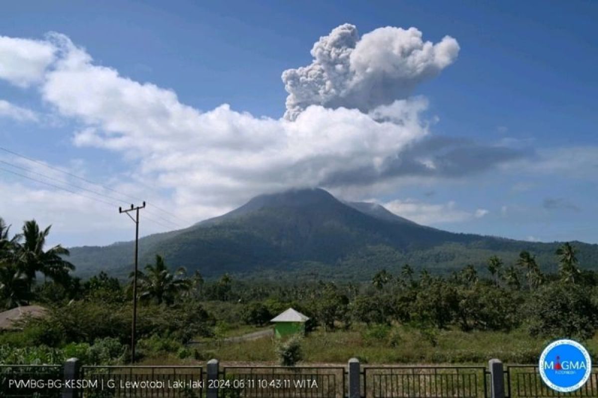 Gunung Lewotobi Laki-laki erupsi 1.000 meter
