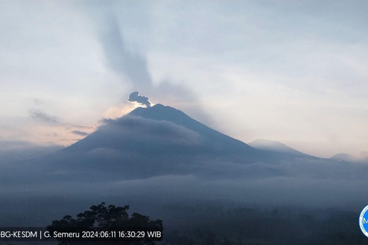 Gunung Semeru erupsi  20 kali