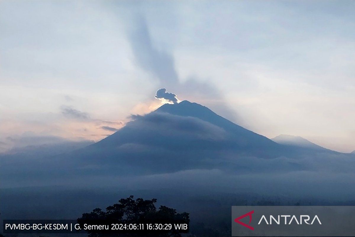 Petugas catat Gunung Semeru erupsi terus menerus sebanyak 20 kali