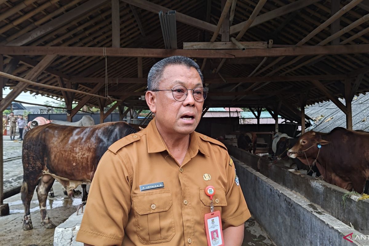 Jelang Idul Adha, DPKP Tangerang pastikan stok dan harga beras terkendali