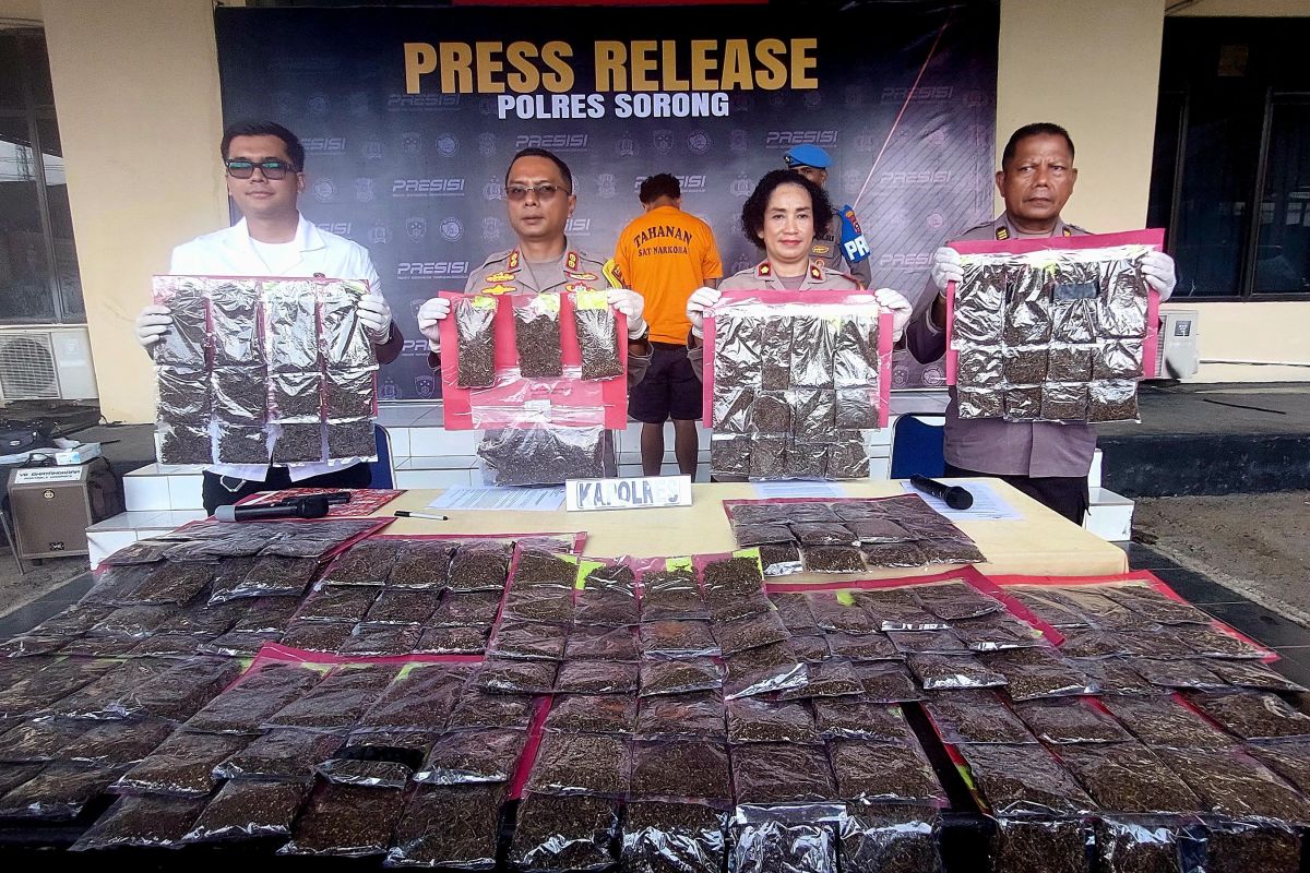 Polres Sorong tangkap pengedar ganja 5,4 kilogram