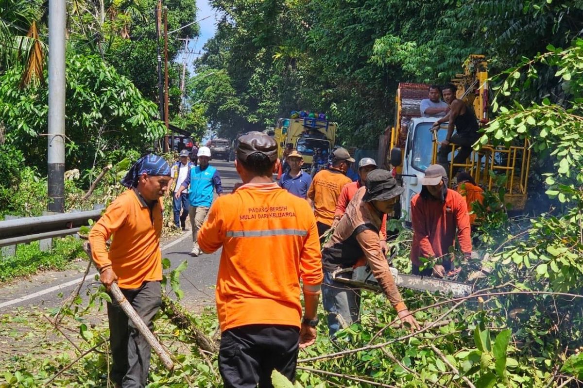 Tingkatkan keandalan listrik jelang Idul Adha, PLN Padang giatkan pembersihan jaringan