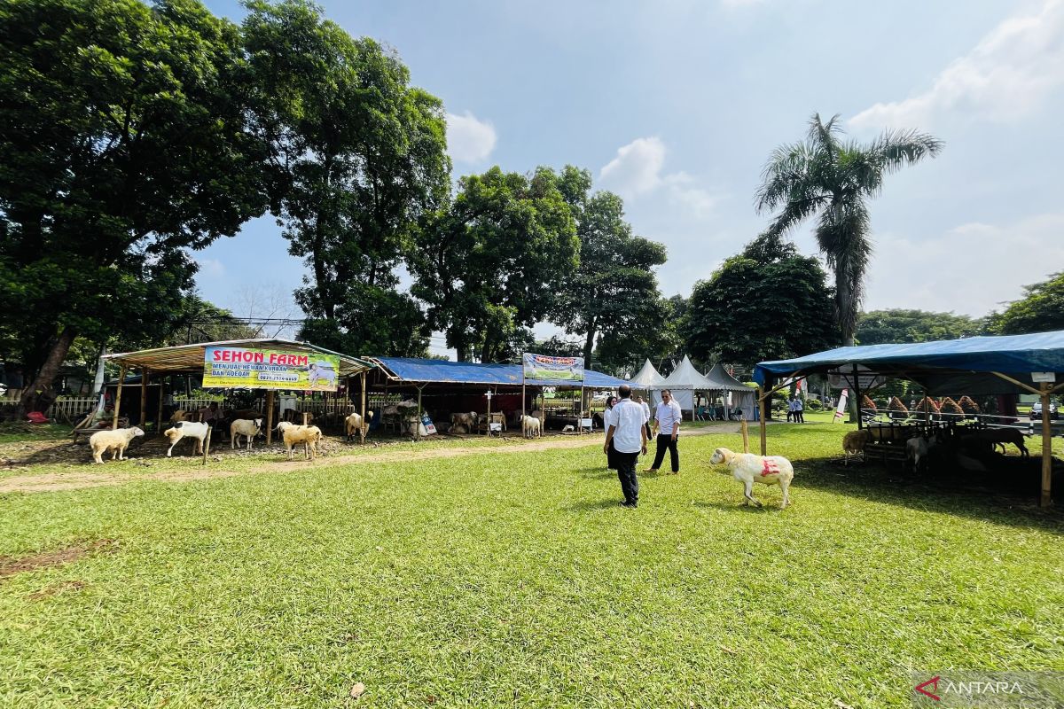 Pemkot Bogor sebut pusat penjualan hewan kurban berkualitas harus diperbanyak