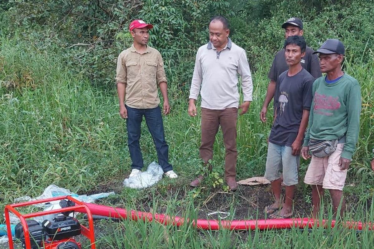 Pemkab Sumba Timur salurkan bantuan alsintan untuk atasi kekeringan