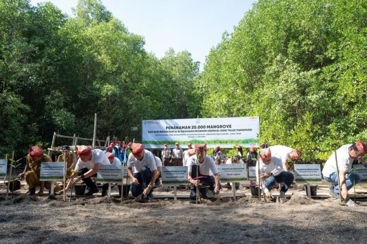 Yayasan AHM tanam puluhan ribu mangrove