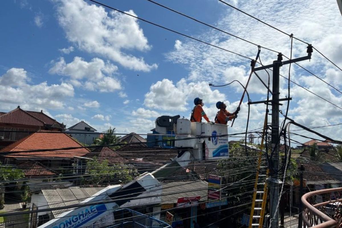 PLN lakukan pemeliharaan jaringan listrik di Bali jelang Idul Adha
