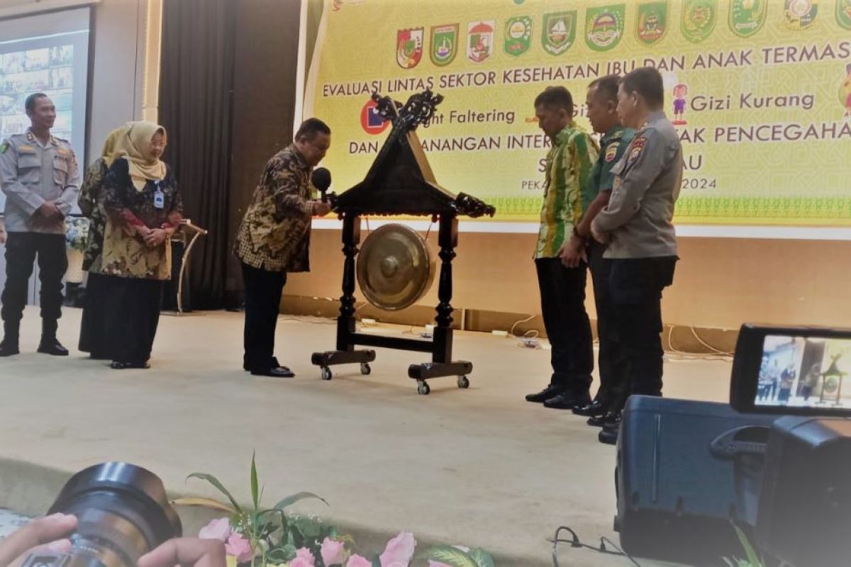 Pemerintah Provinsi Riau penuhi kebutuhan alat antropometri seluruh Posyandu