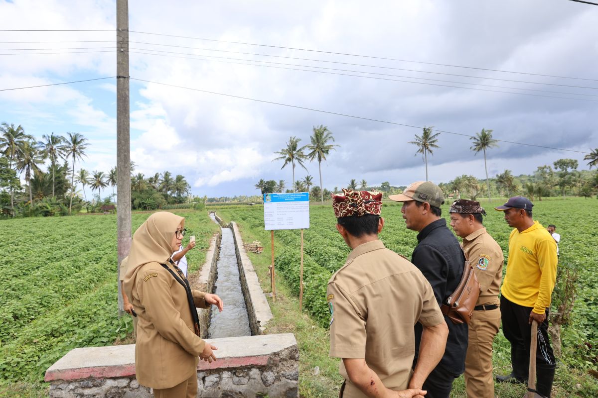 Pemkab Banyuwangi bangun dan revitalisasi jaringan irigasi 123 kilometer