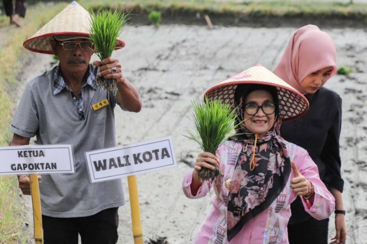 Kelompok Tani Satahi tanam perdana, Wali Kota Pematangsiantar berharap swasembada beras