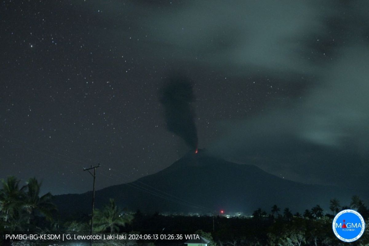 Gunung Lewotobi Laki-Laki-NTT lontarkan abu vulkanik