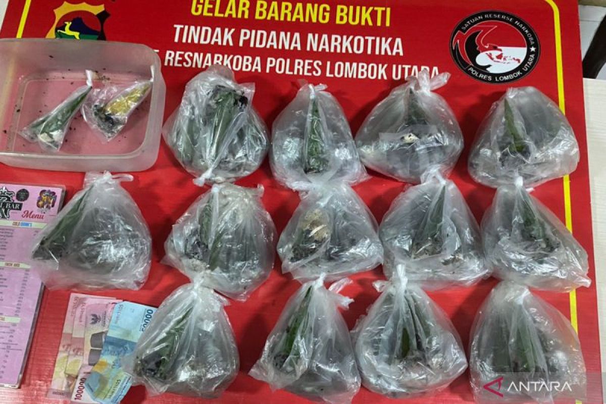 Polisi sita 2,24 kilogram jamur ajaib di Gili Trawangan