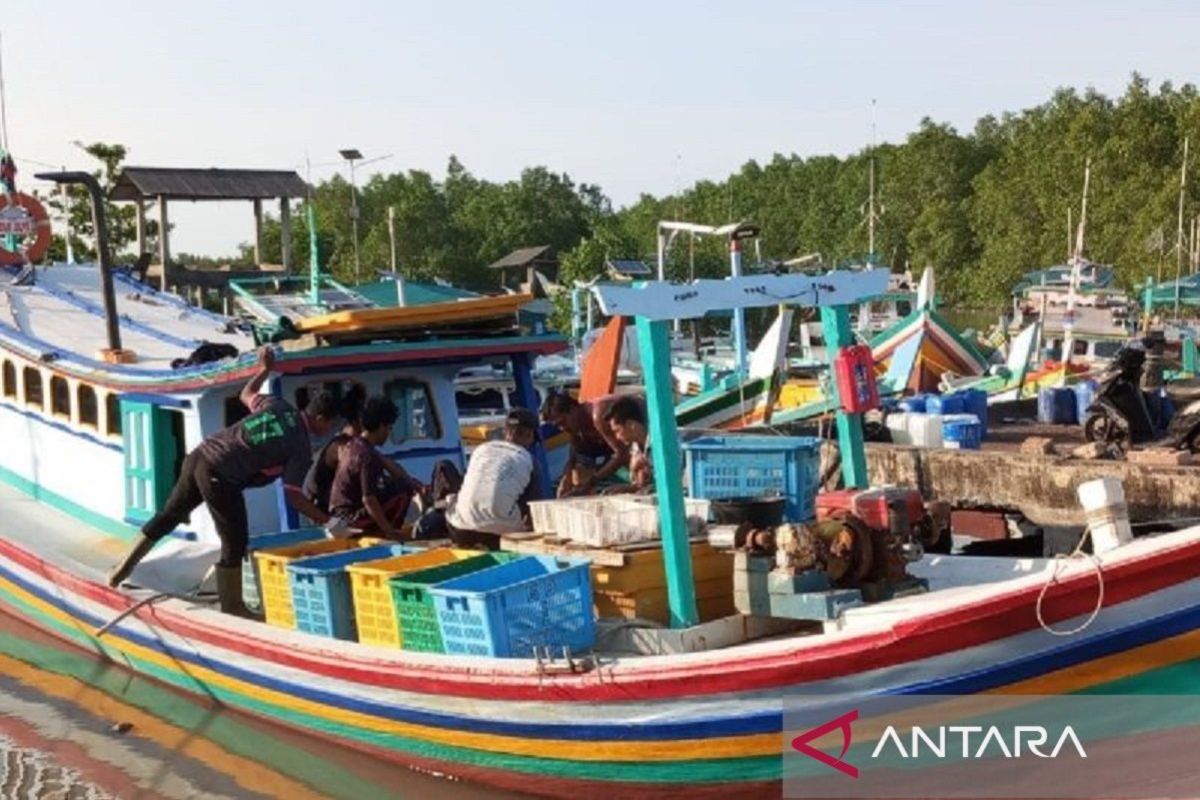 Harga ikan di Bangka Belitung turun jelang Idul Adha