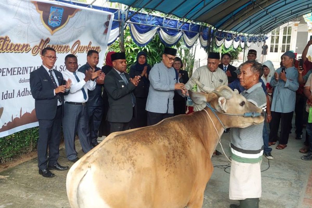 Kota Sorong salurkan 30 hewan kurban untuk perayaan Idul Adha