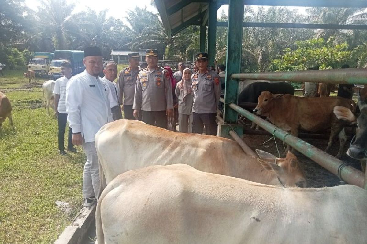 Polres-DPP Pasaman Barat tinjau pasar ternak Simpang Tiga