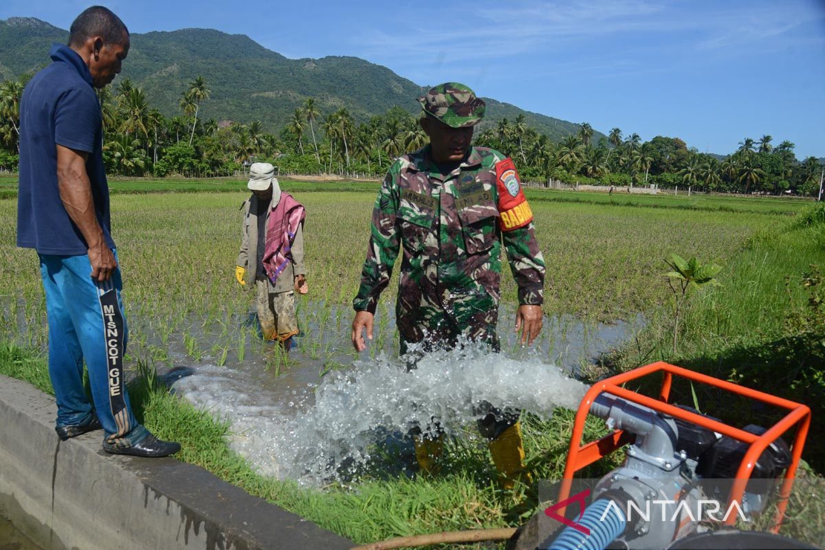 FOTO - Pompanisasi sawah terdampak kekeringan di Aceh Besar