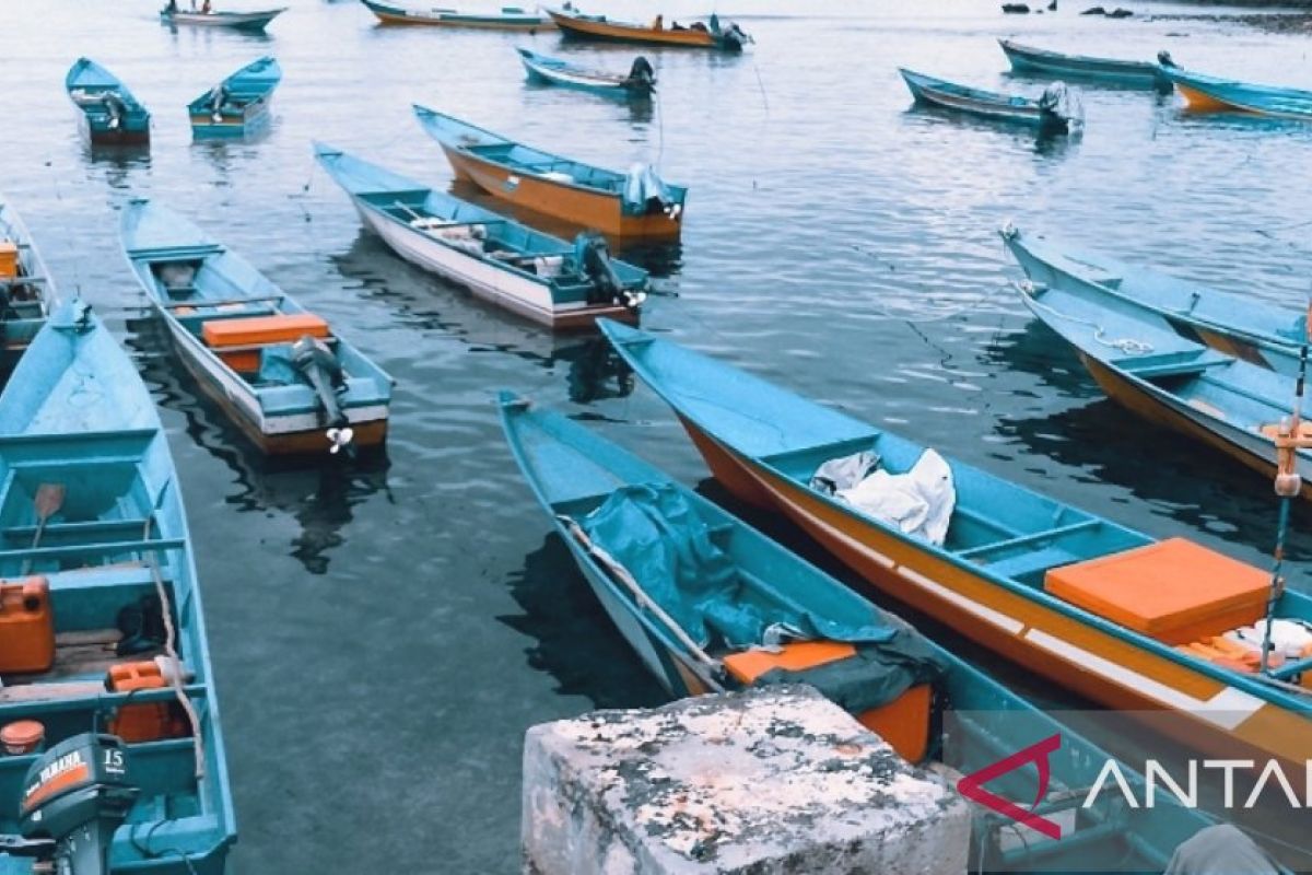 Pemkab Biak gandeng investor perikanan beli ikan koperasi nelayan