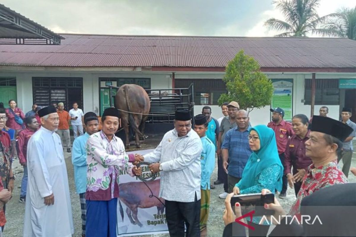 Pj Gubernur serahkan sapi kurban bantuan Presiden Jokowi di Manokwari