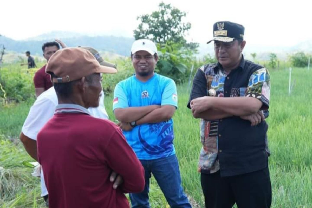 Penjabat Gubernur Sulbar motivasi petani bawang di Majene gunakan KUR