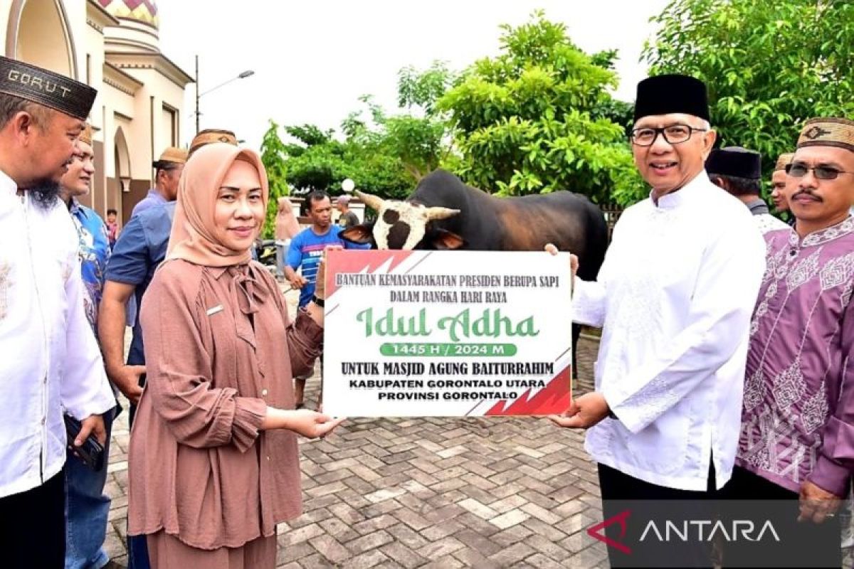 Penjabat Gubernur Gorontalo serahkan bantuan hewan kurban Presiden RI