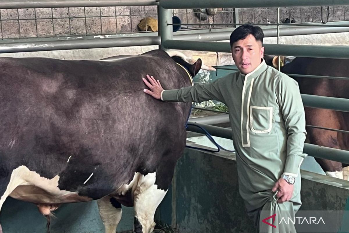 Irfan Hakim berkurban sapi Bali untuk dukung peternak