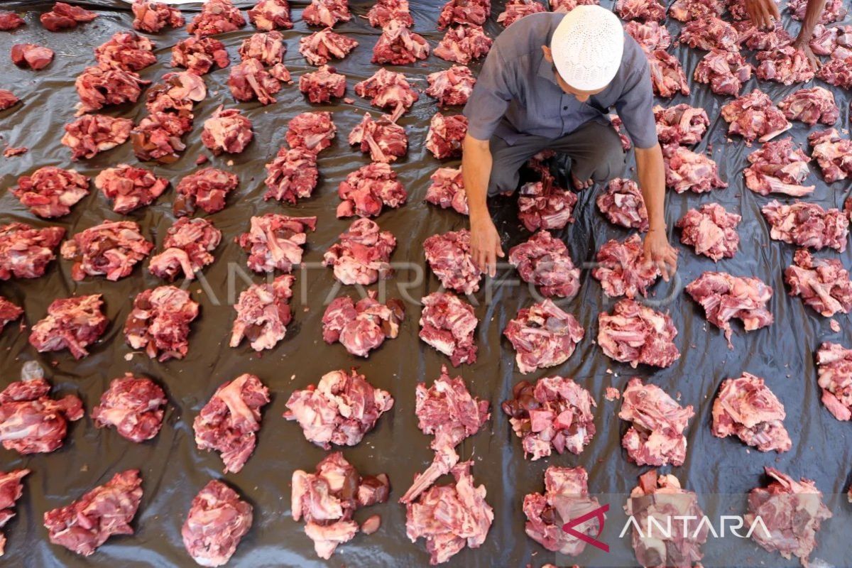 Warga Banda Aceh siapkan 1.408 hewan kurban untuk Idul Adha 1445 H