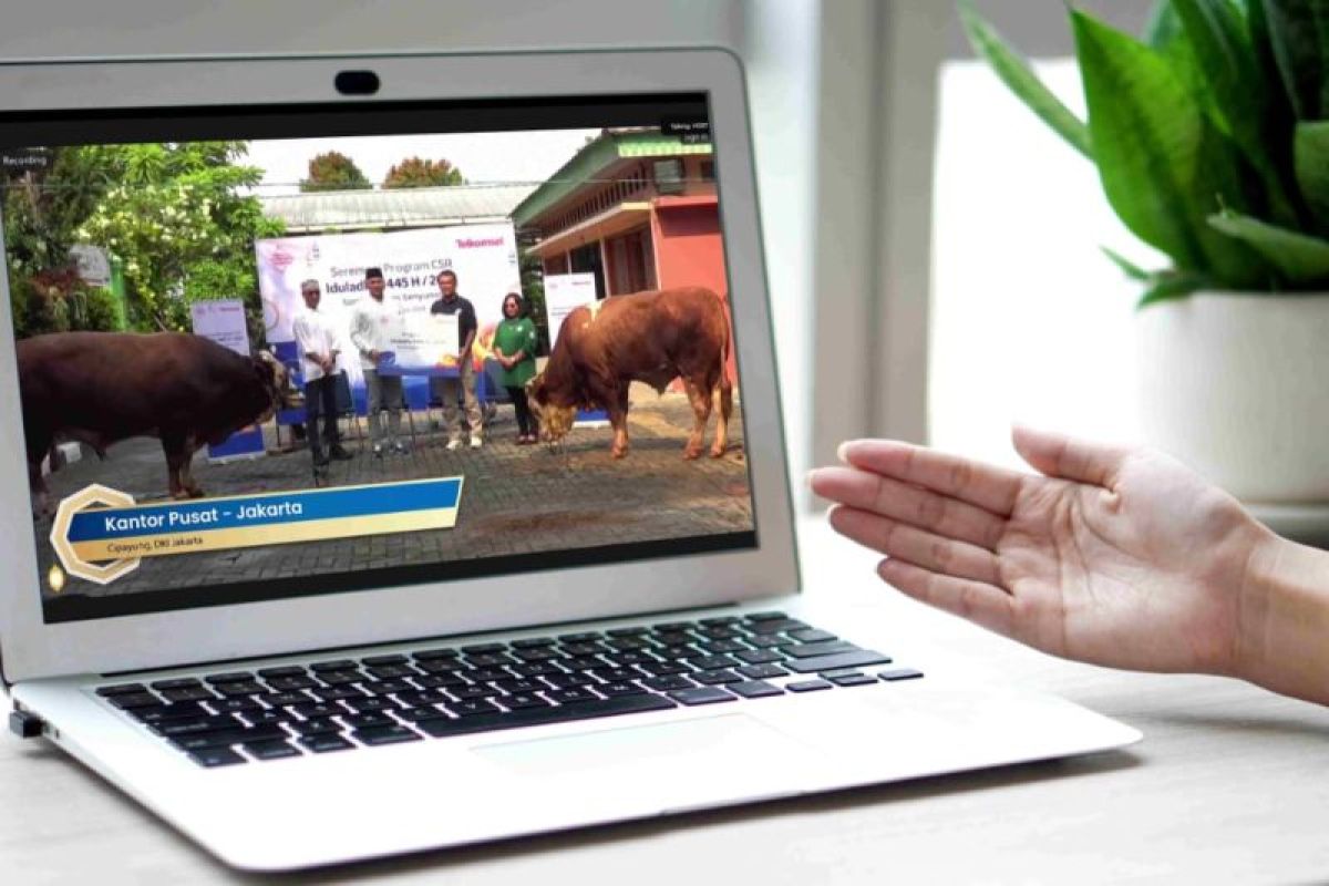 Telkomsel salurkan 103 ekor sapi dan 607 ekor domba kurban Idul Adha