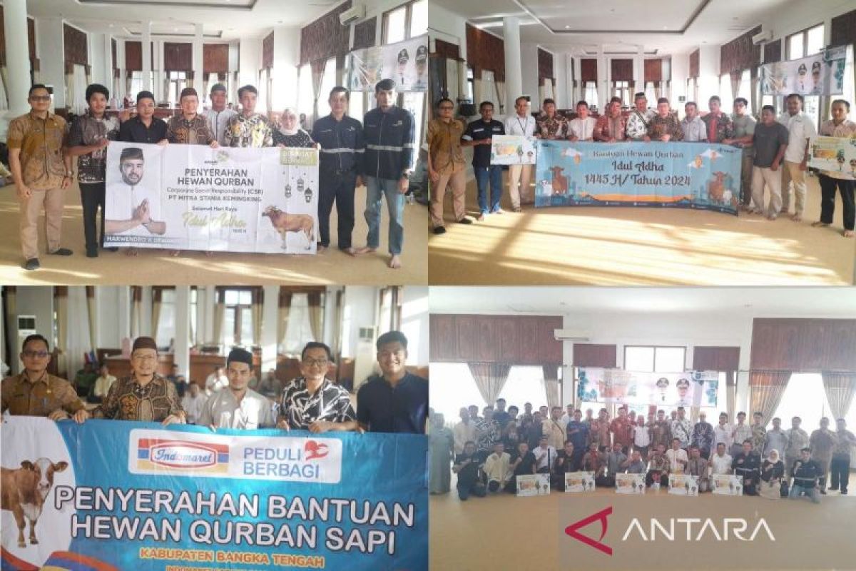 Pemkab Bangka Tengah salurkan 38 sapi bantuan untuk Idul Adha