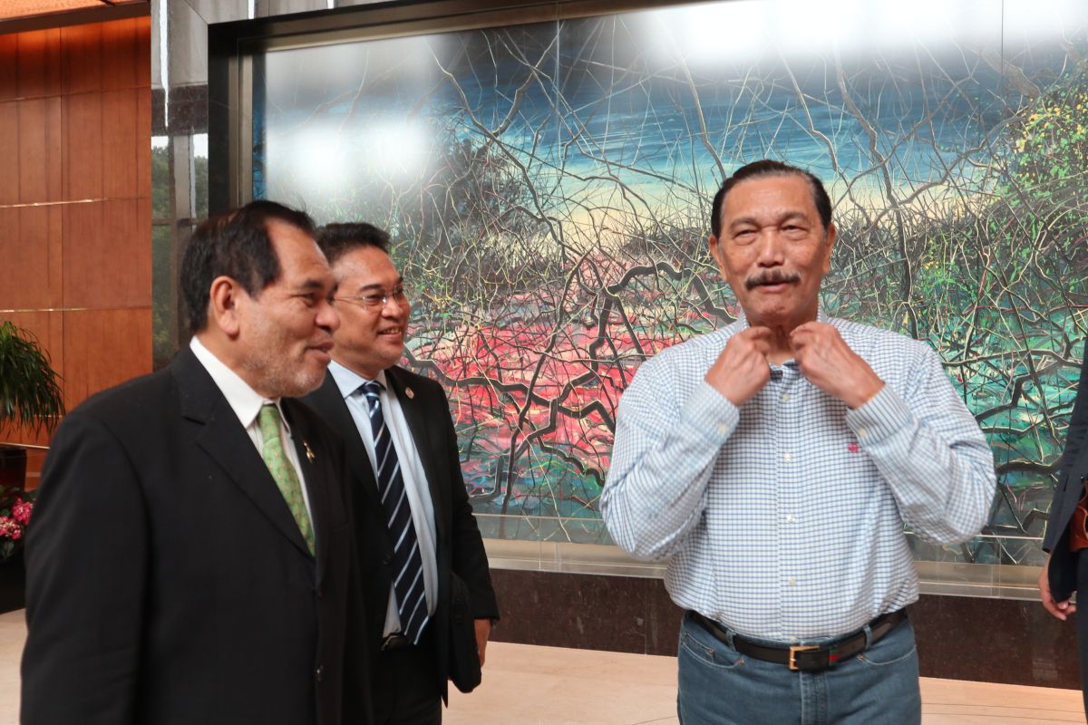 China berharap Prabowo berkunjung setelah jadi presiden, kata Luhut