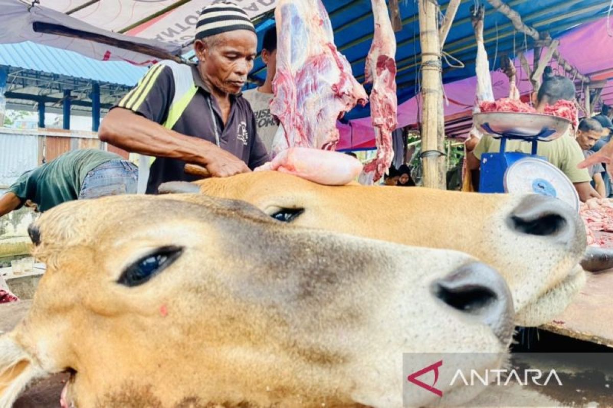 Pemkab Aceh Barat pastikan daging untuk tradisi Meugang Idul Adha layak konsumsi