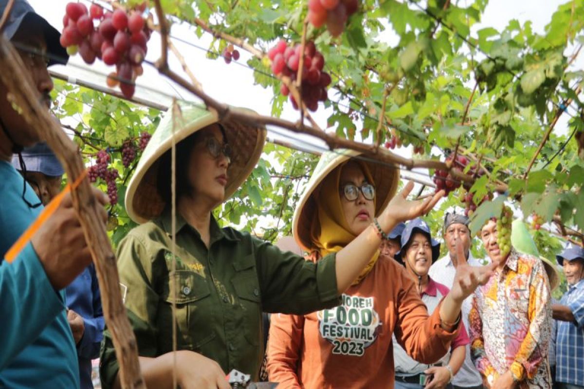 Pemkab Kulon Progo-Wanadelima kembangkan pertanian terpadu di Sidomulyo