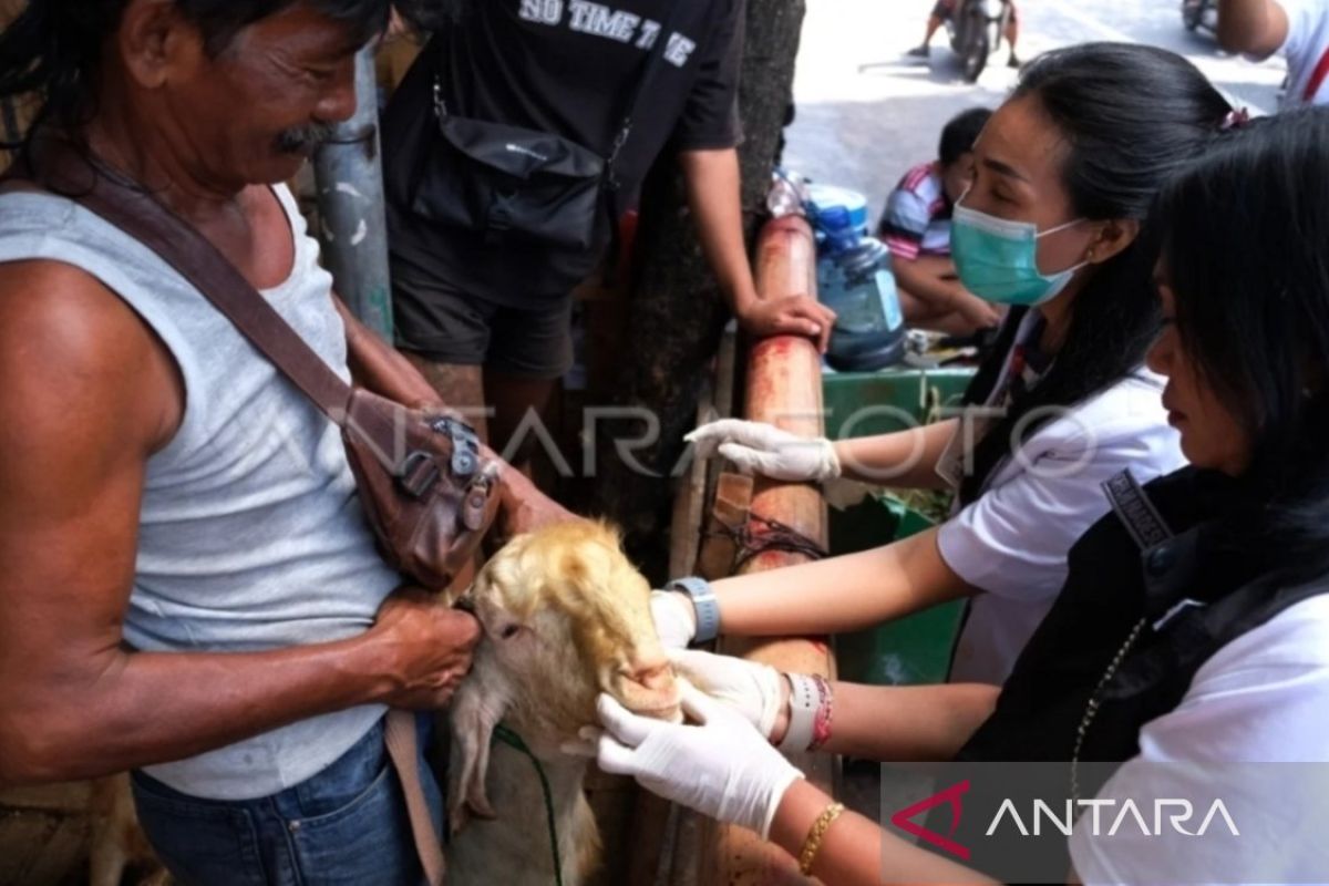 Pemprov Sulbar kerahkan 139 petugas pemeriksa hewan kurban