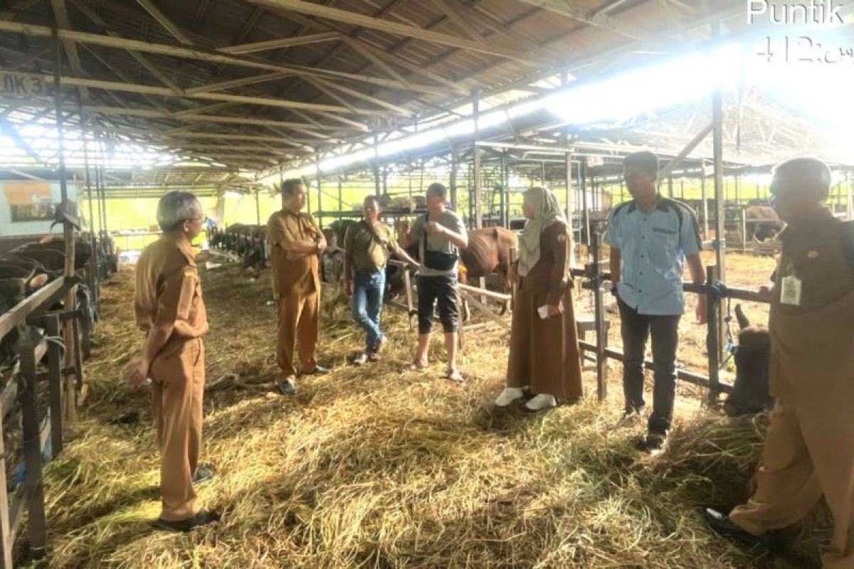 Disbunak Batola periksa rutin hewan ternak cegah penyebaran penyakit