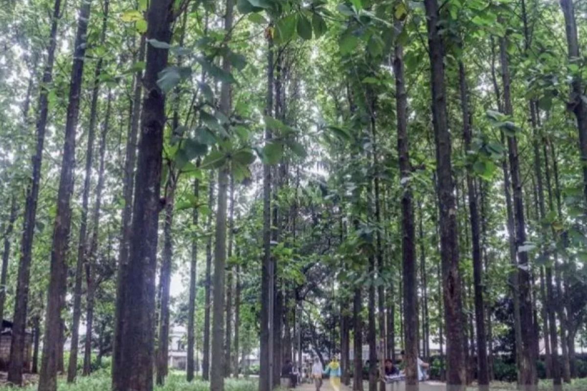 Kamis pagi, kualitas udara Jakarta membaik masuk kategori sedang