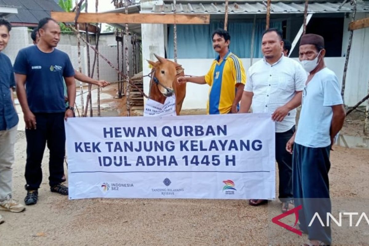 KEK Tanjung Kelayang salurkan hewan kurban Idul Adha 1445 Hijriah