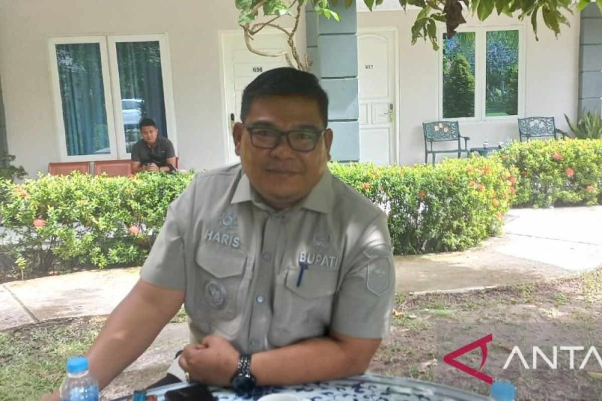 Pemerintah Kabupaten Bangka siapkan 11 ekor sapi kurban