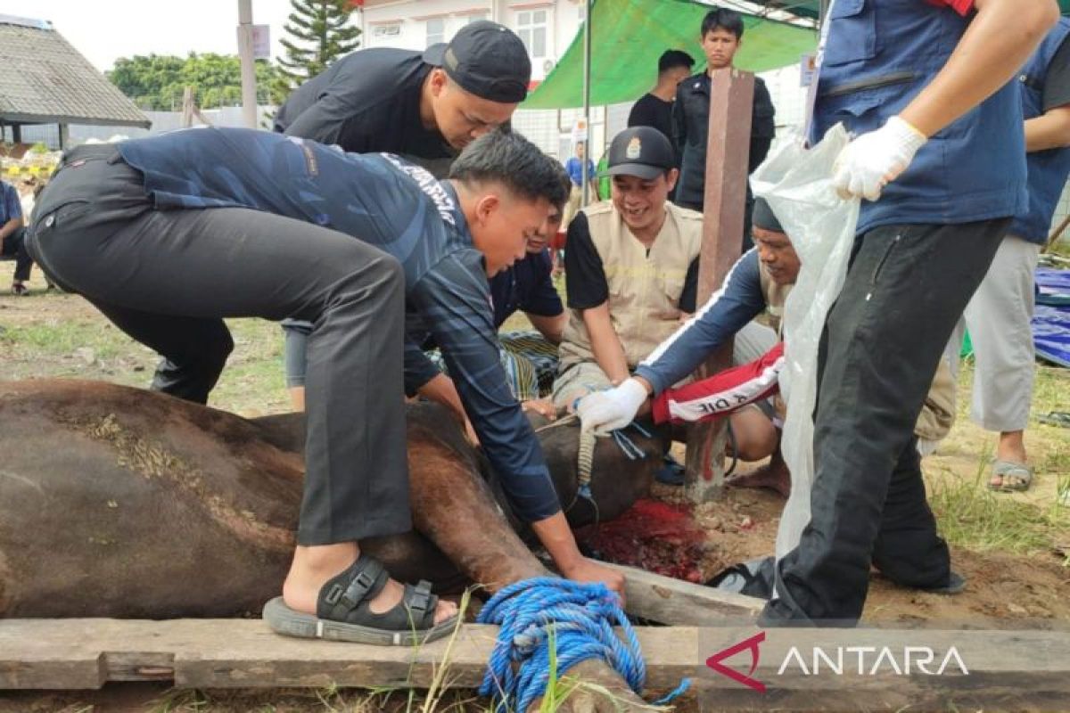 Lapas Balikpapan potong 7 ekor hewan kurban di Idul Adha