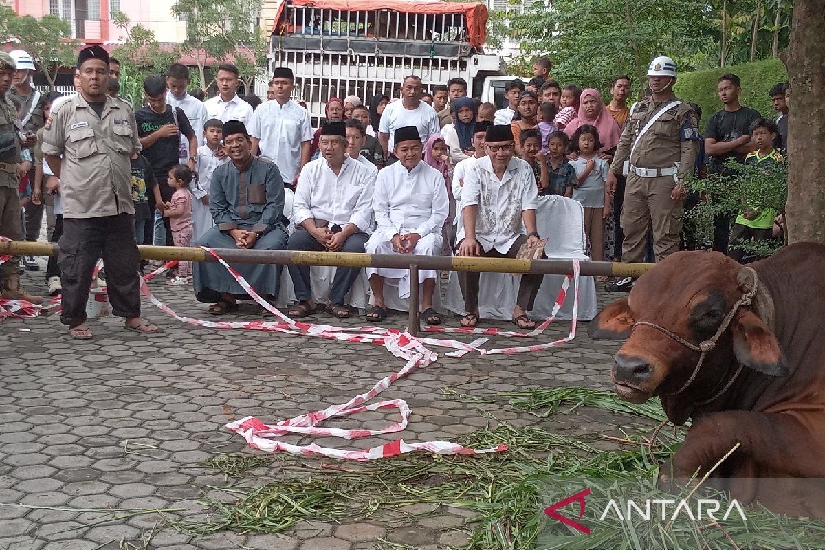 Pj Gubernur berkurban sapi  seberat 1 ton di Masjid Al-Jihad Medan