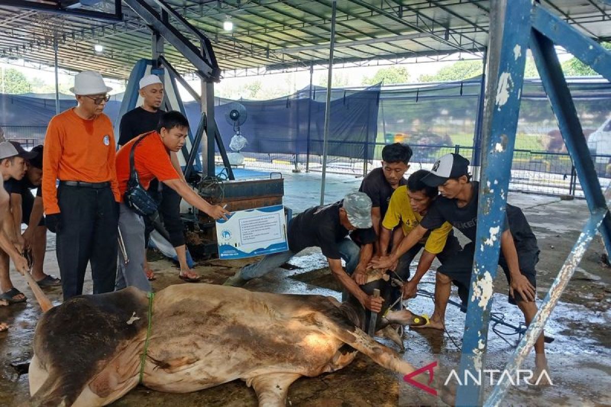 Masjid Al-Azhar Jakarta beri tips berkurban untuk Gen Z dan Milenial