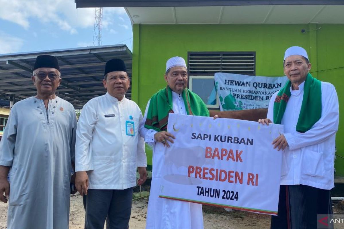 Belitung terima bantuan sapi kurban Idul Adha 1445 Hijriah dari Presiden RI