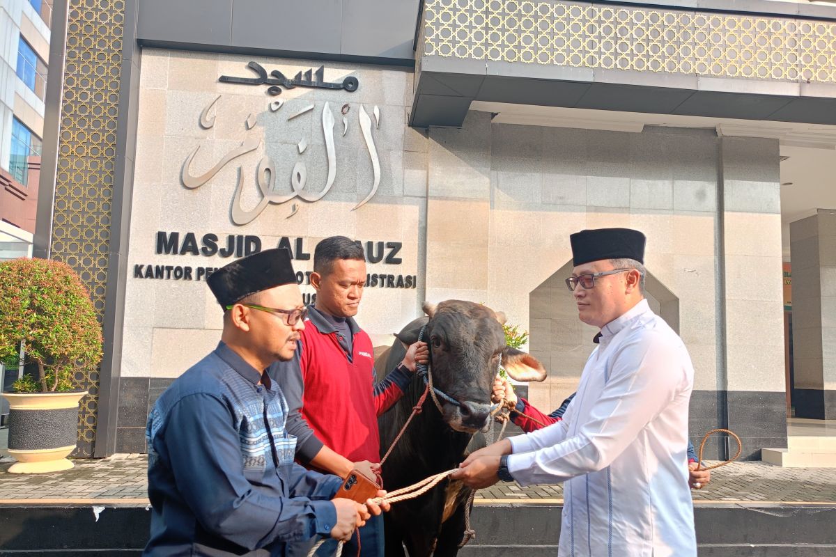 Jakarta Pusat distribusikan seribu kantong daging kurban