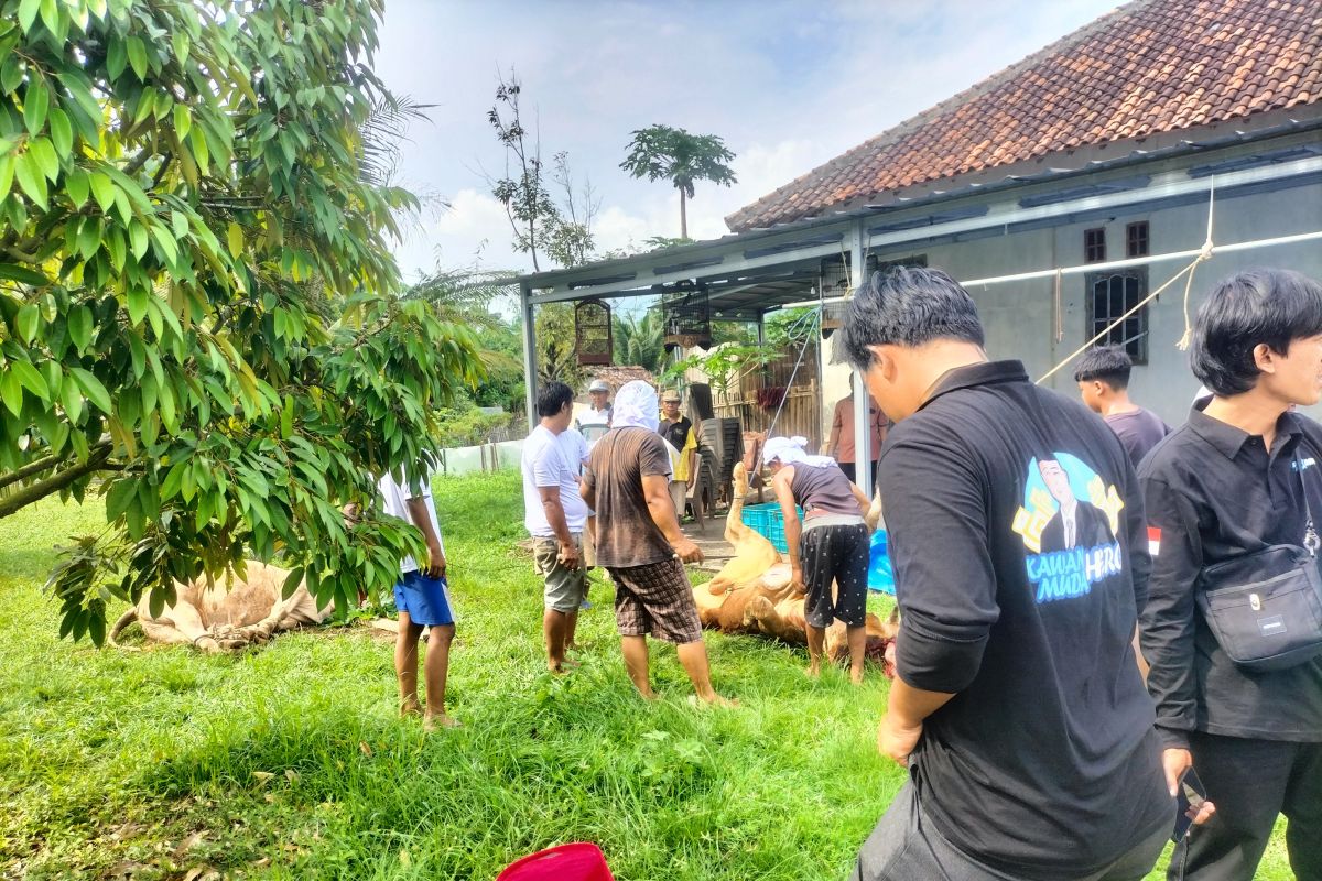 Jasa pemotongan hewan kurban di Lampung Selatan dibanjiri pesanan saat Idul Adha
