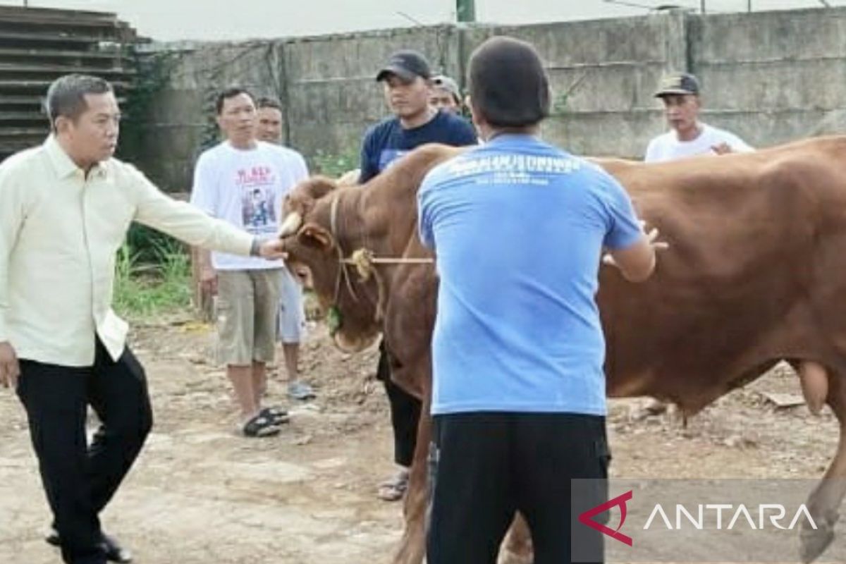 Bupati Karawang upayakan penyaluran daging beserta hewan kurban merata ke desa-desa