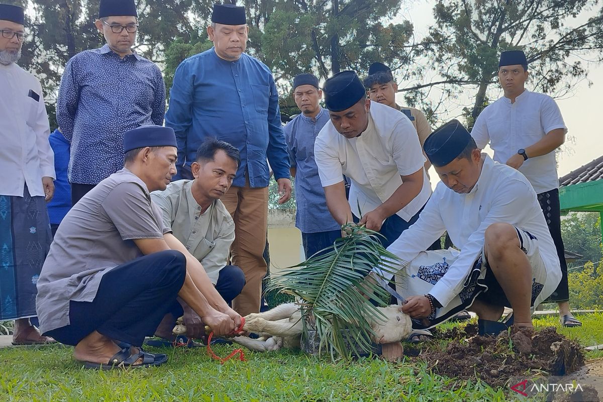Pemkab Bogor bagikan 120 hewan kurban ke sejumlah masjid-ponpes