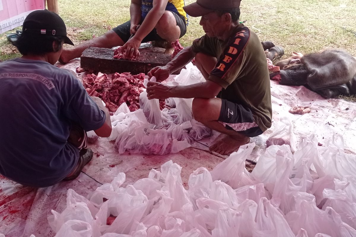 Persis Rangkasbitung distribusikan 706 kantong daging kurban