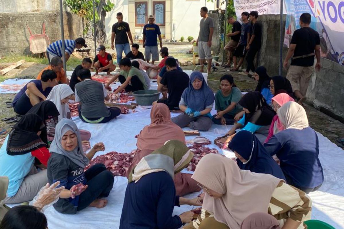 DKPP Bantul temukan puluhan hewan kurban miliki cacing hati