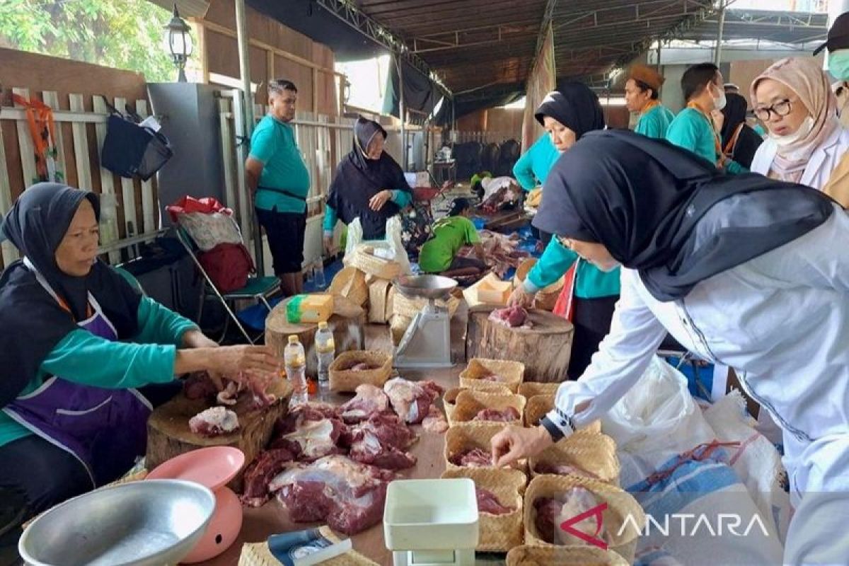 Pemeriksaan hewan kurban di Jakbar dilakukan hingga 20 Juni