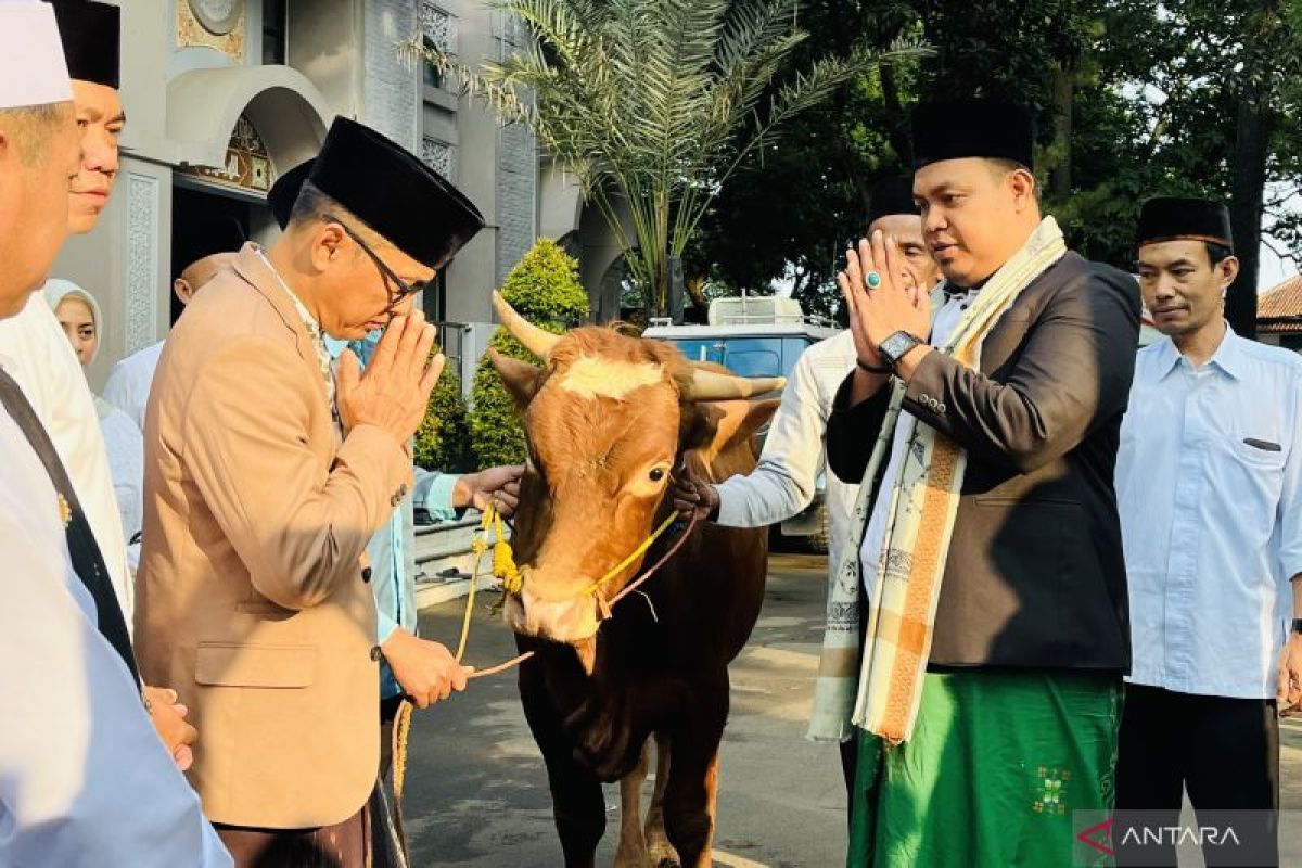Pemkot Bogor serahkan sejumlah hewan kurban ke masjid-masjid