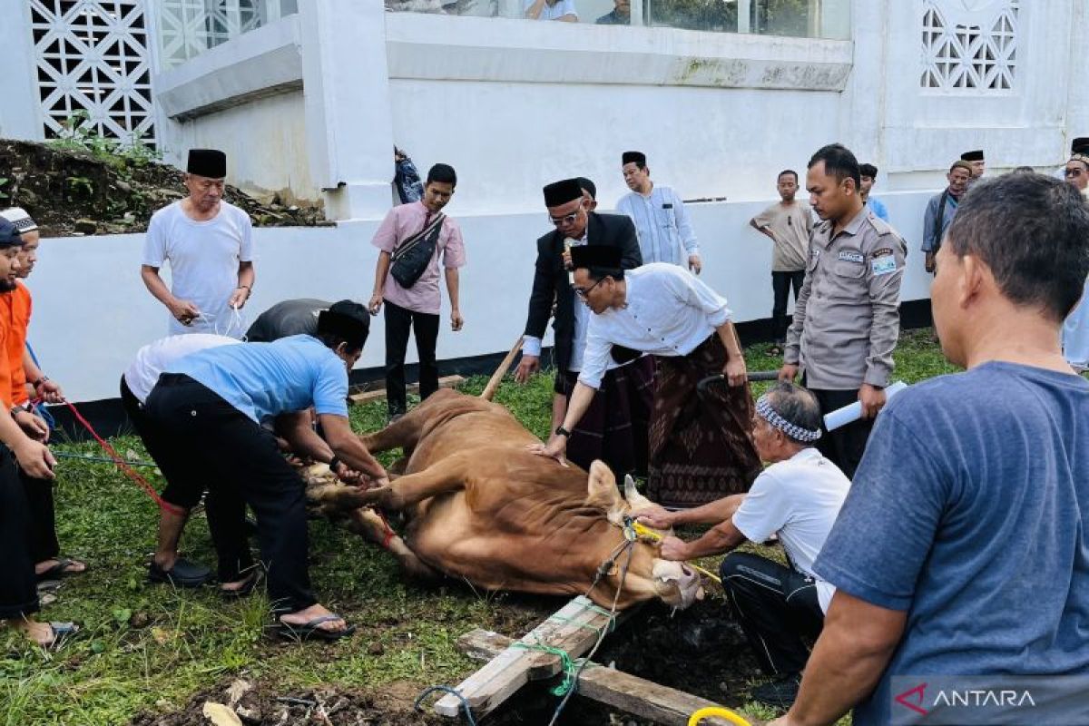 Pj Wali Kota Bogor imbau pendistribusian daging kurban secara merata