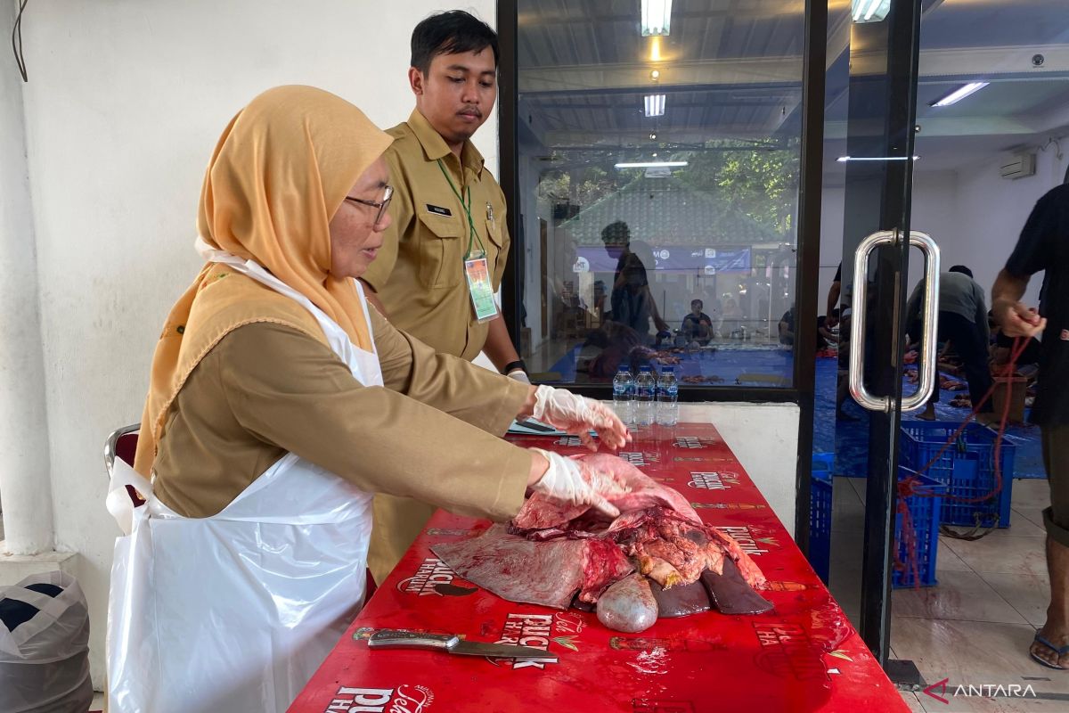 Petugas Pemprov DKI periksa jeroan pastikan keamanan daging kurban